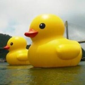 jillpeters1313 avatar