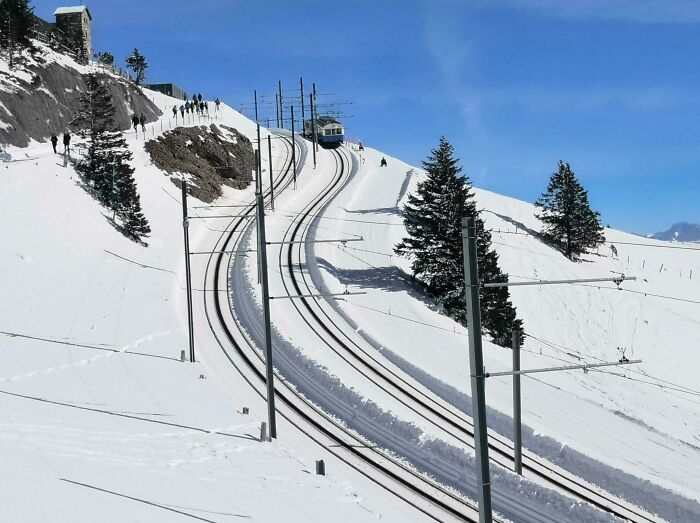 Railways On The Mountain Rigi