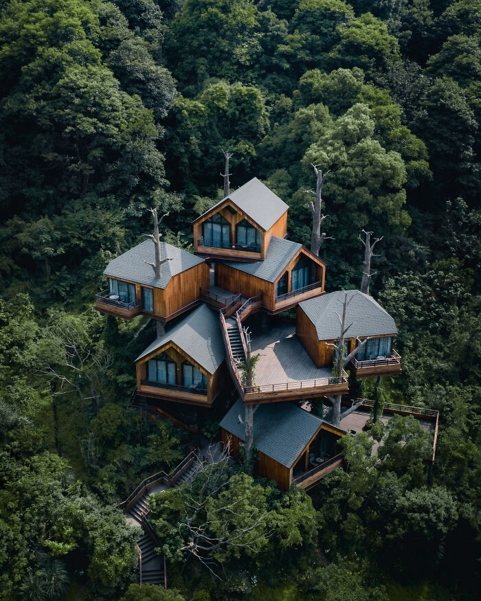 Kaiyuan Senbo Treehouse Resort, Hangzhou, China