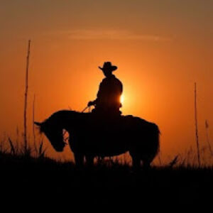 danielvannattan avatar