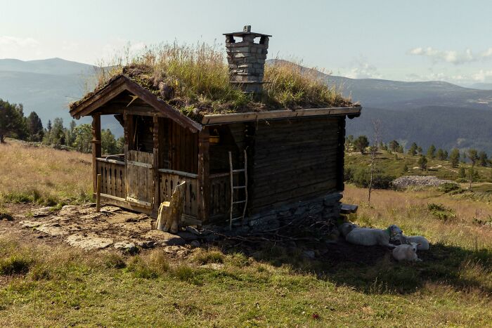 A Norwegian One Room Cabin