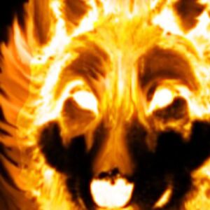 isaiahcurtman avatar