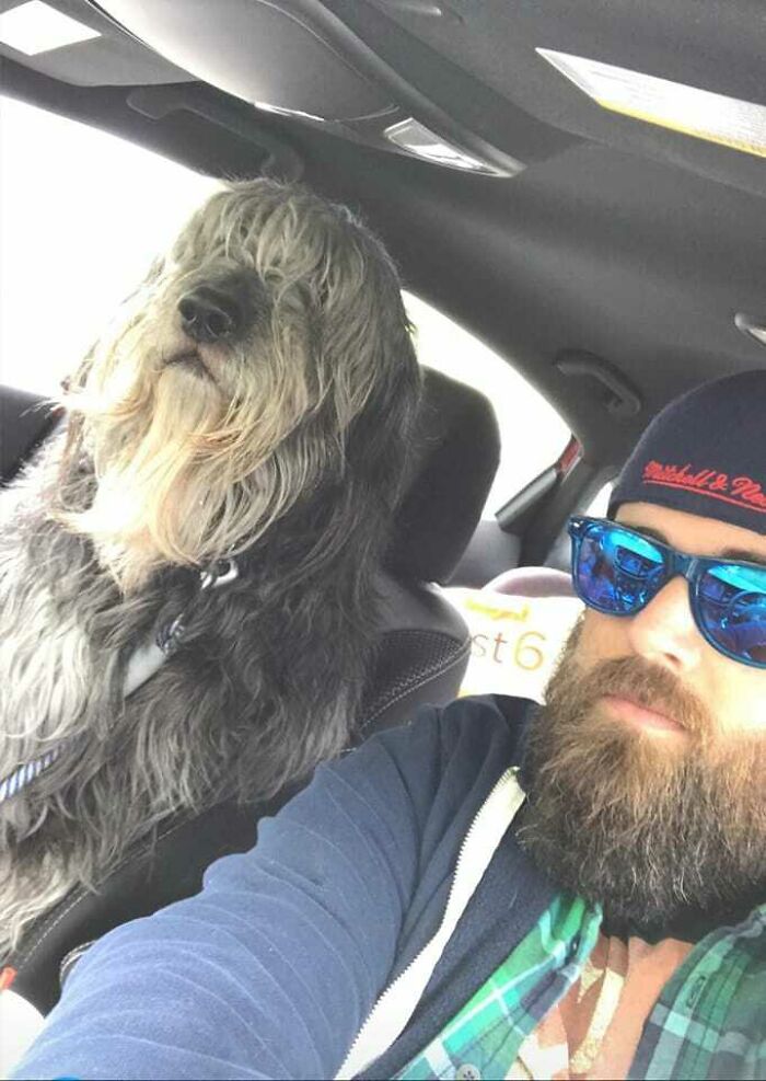This Is Ben. He Has A Beard. And He Is Human-Sized. We Get Fun Looks In Traffic