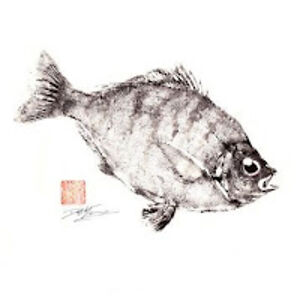 scottc_goodellbowen avatar