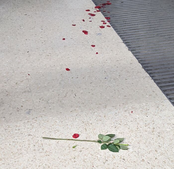 Someone's Valentine's Day Didn't Go To Plan At London Victoria