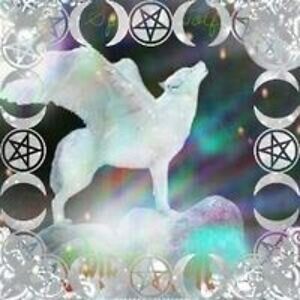 tk_spiritwolf avatar