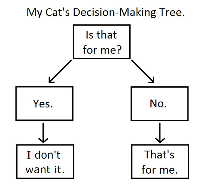Cat's Decision Tree