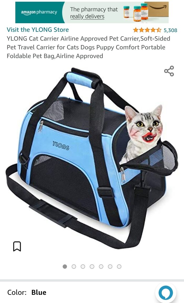 Airline Cat Carrier, $14.99