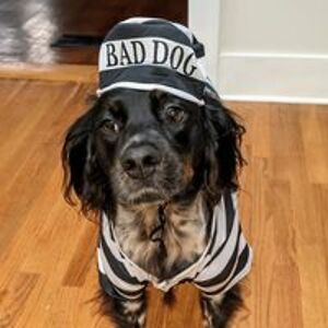 tremarino9978 avatar