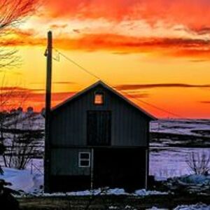 lynnjaroszgoode avatar