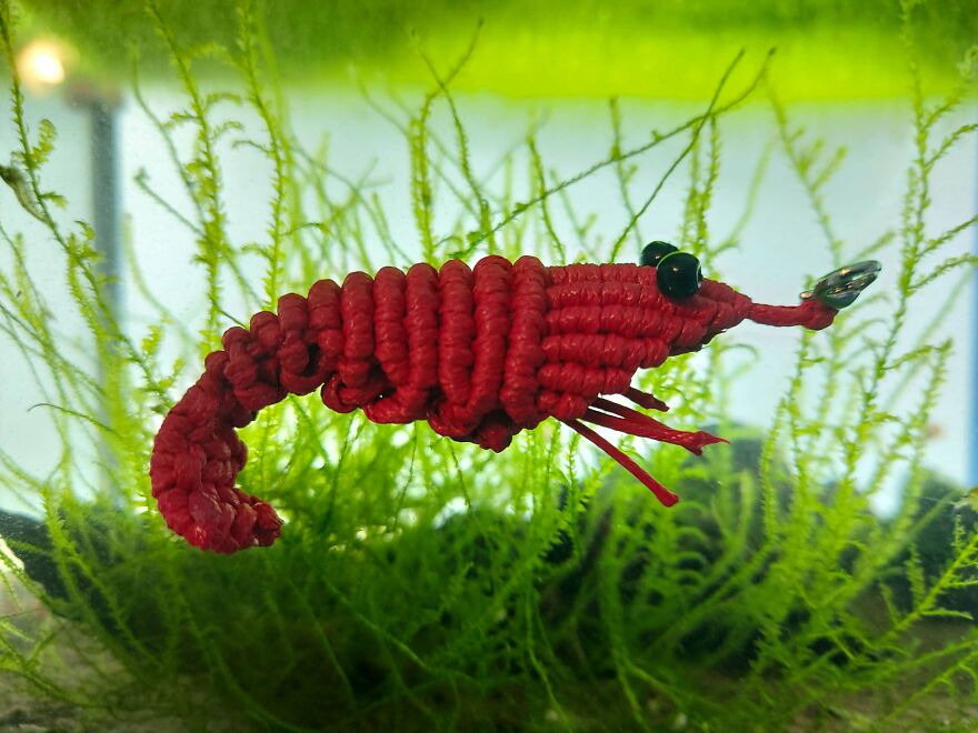 Posting On Behalf Of My Wife, Little Macrame Shrimp, What Do You Guys Think?