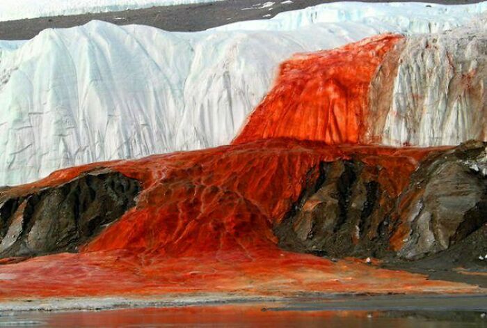 Bloody Waterfall In Antarctica. Red Color Comes From A High Concentration Of Iron In Water