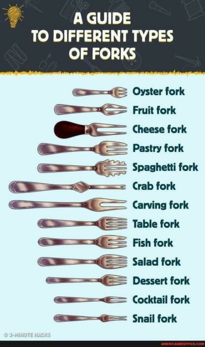 Guide To Different Types Of Forks