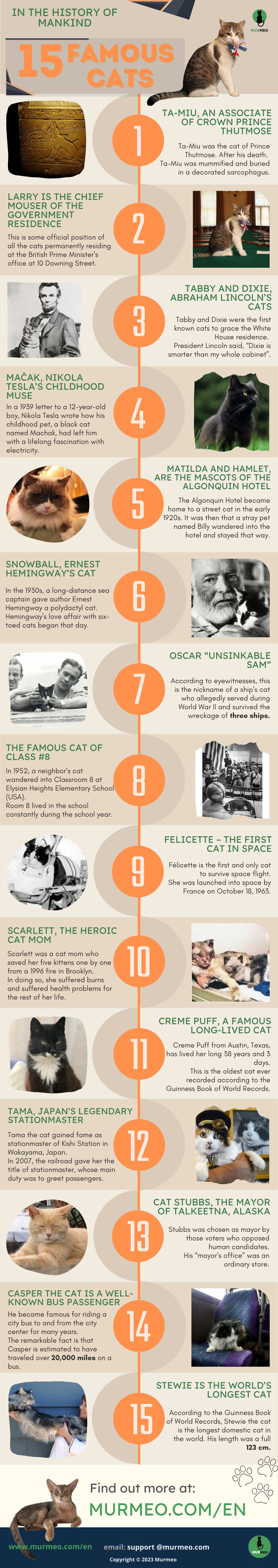 15 Famous Cats In The History Of Mankind