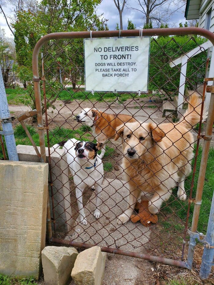 "No dejar el reparto en la entrada. Los perros lo destruirán. Por favor, lleven todo al porche trasero"