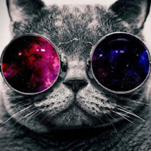 zurieladom-retvig avatar