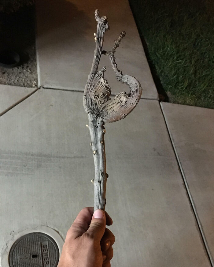 Daughter Found This Branch And Uses It As Her Magic Wand