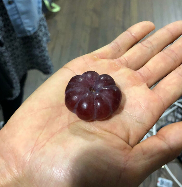Grumpkin - Grape That Looks Like A Pumpkin