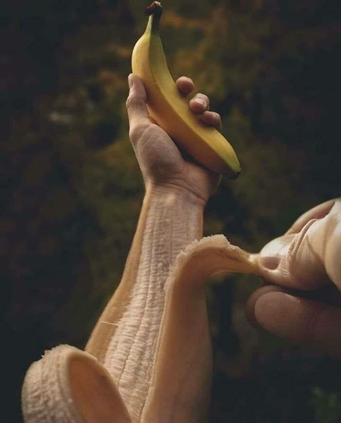 My Favorite Fruit Was Bananas