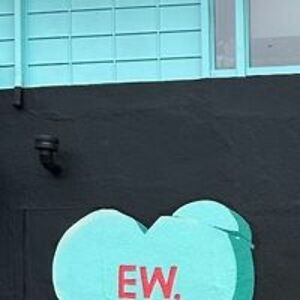 swanfacegrace avatar