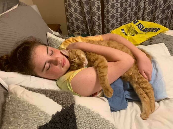 Hemos adoptado un gato de 11 años y se ha enamorado de mi hija. Esto es tras volver de una semana de campamento escolar