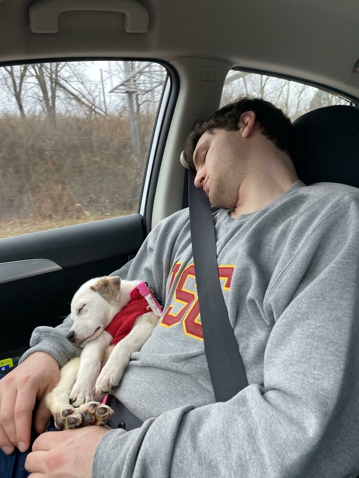 On Our Way Home From Adopting Her. Like Father Like Daughter