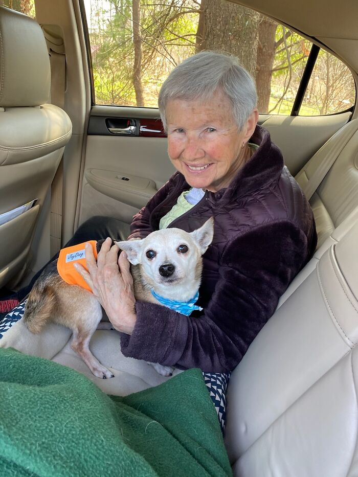 My Grandmother (87) With Her Newly Adopted Senior Peanut (14) On Their Way Home From Foster Care Today 😭