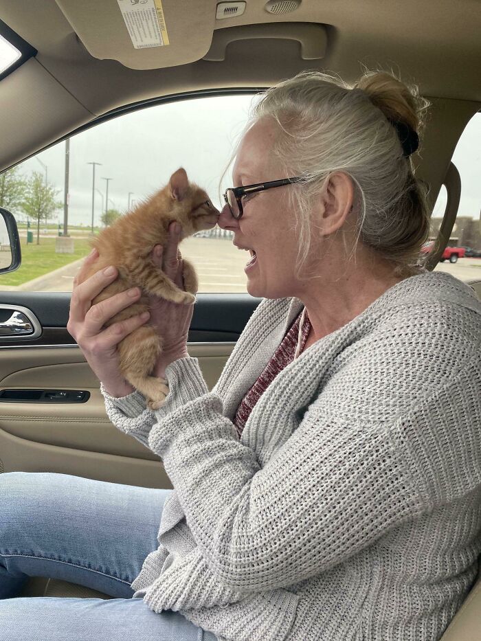 My Mom Meeting Her Dream Kitten For The First Time Today!