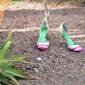 maarjapoder-ouldja avatar