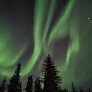 generaldogs5555 avatar