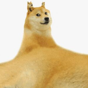 maximiliantez avatar