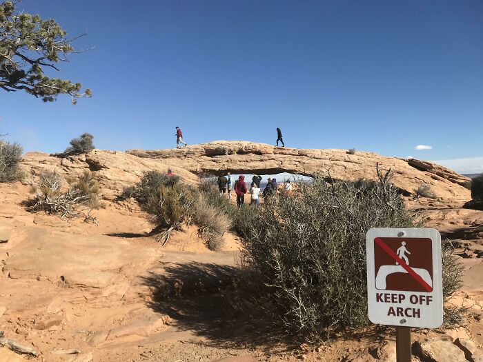 These Wonderful Tourists In Canyonlands National Park