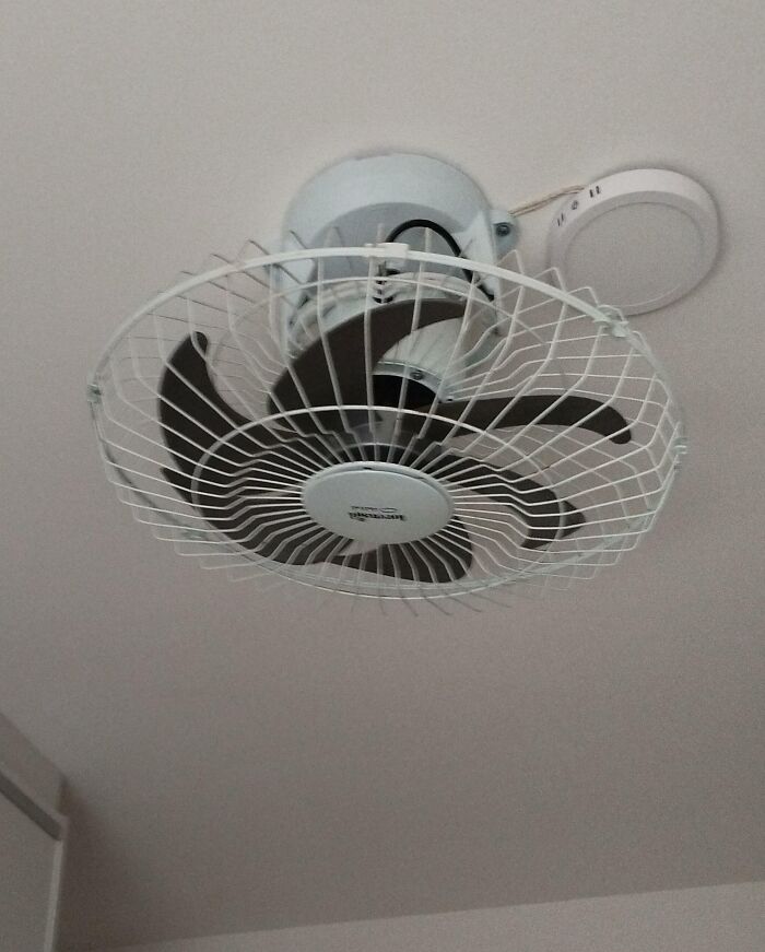 My Grandpa Said He Had Installed A Ceiling Fan. This Is The Picture He Sent To Us