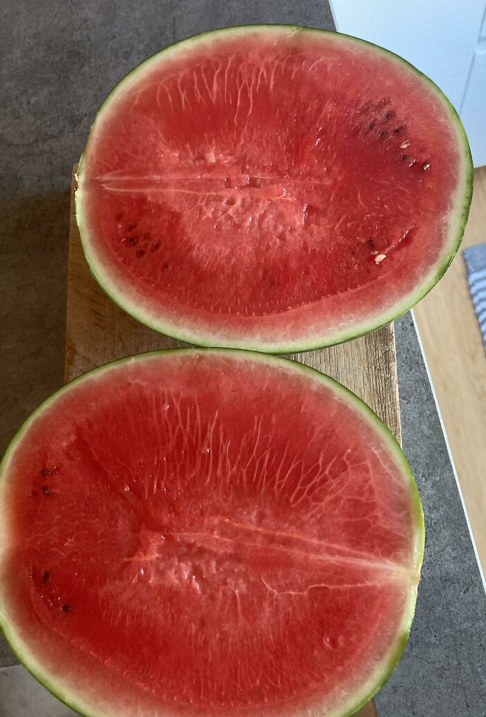 The Watermelon Is Looking Pretty Good
