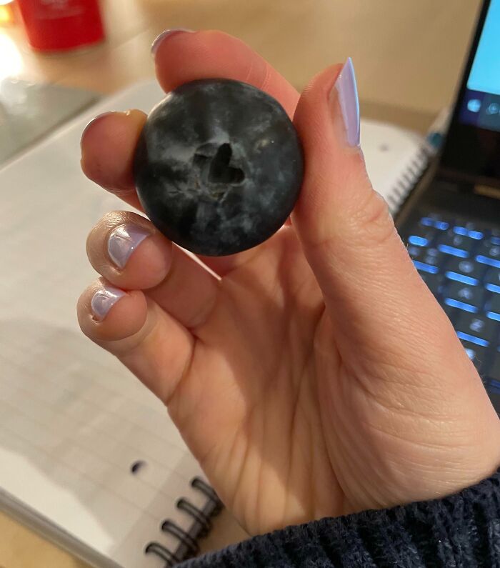This Giant Blueberry I Found Today