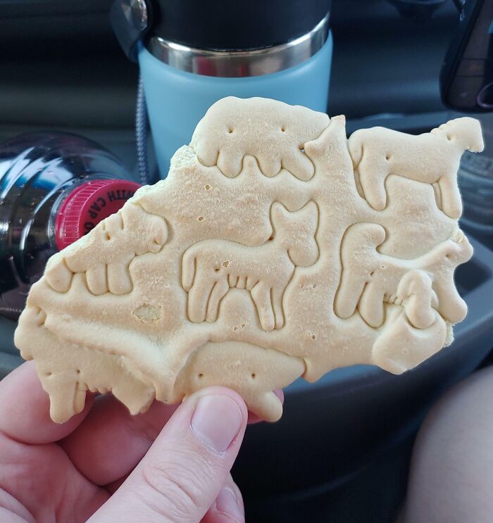 My Animal Crackers Came In An Animal Sheet