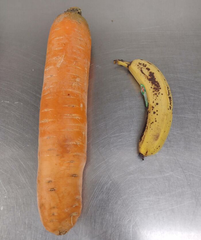 This Carrot. Banana For Scale