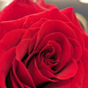 gabriellemcqueen avatar