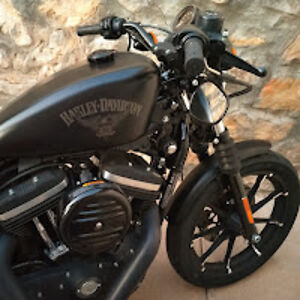 desertdrifter avatar