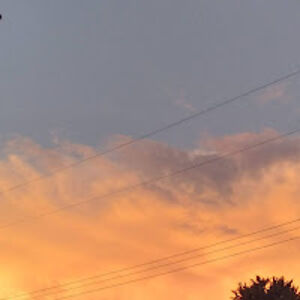 elizabethirmen avatar