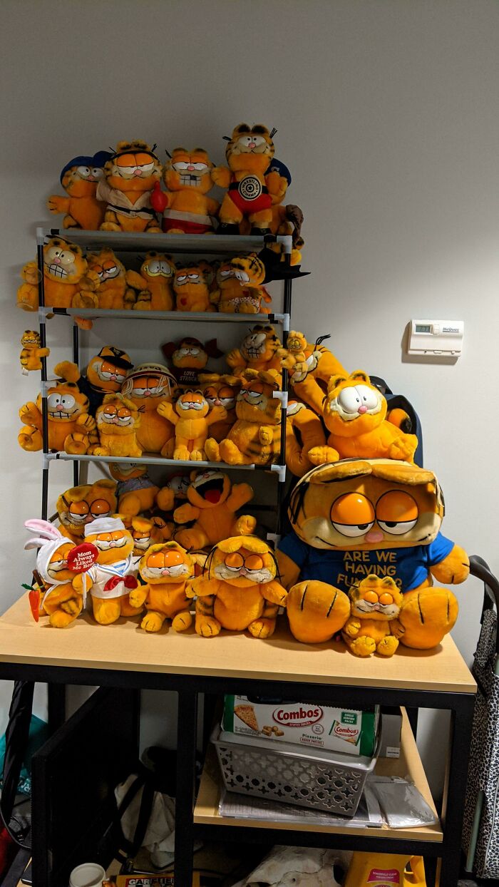 Finally Got Some Shelves For My Garfield Collection!