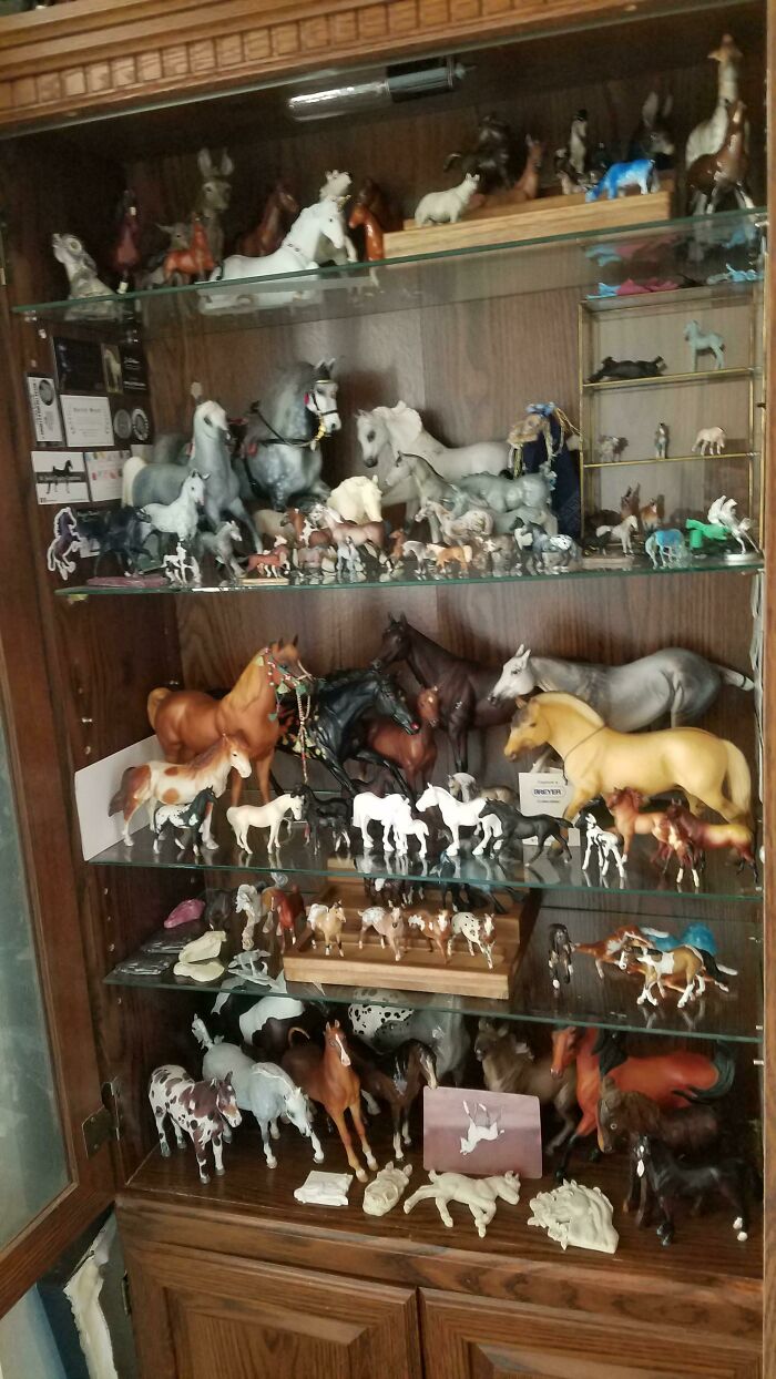 My Beloved Model Horse Collection!