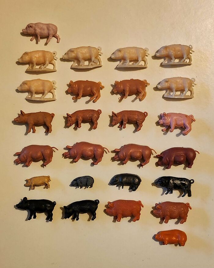 Collection Of Tiny Pigs