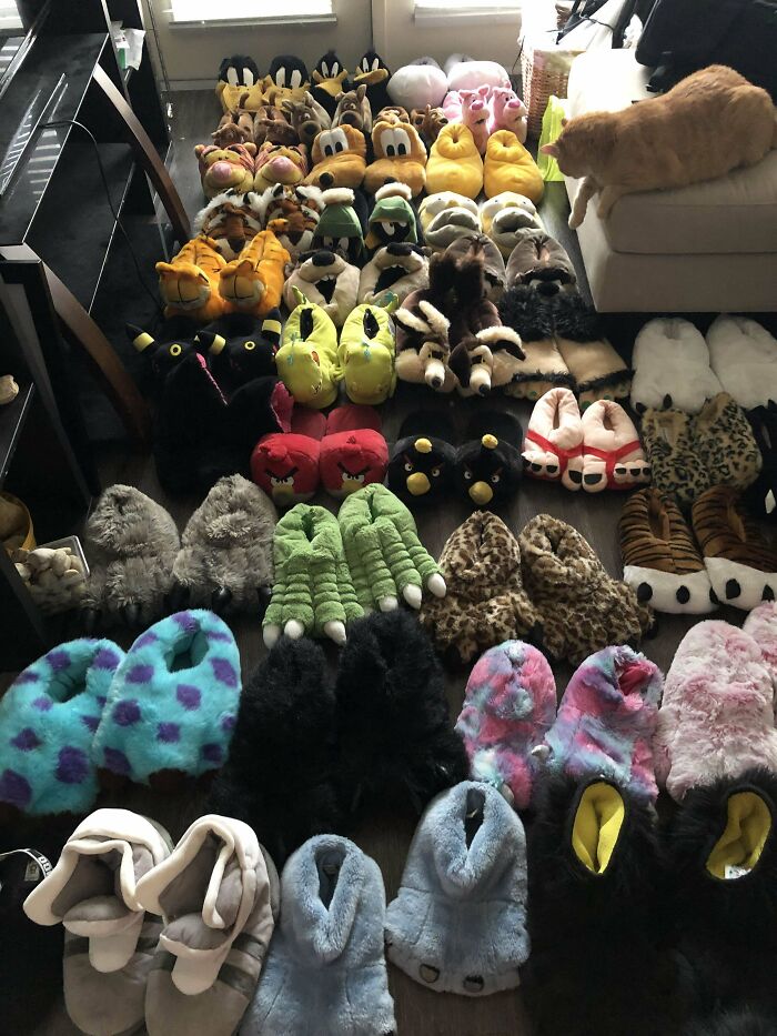 I Collect Slippers
