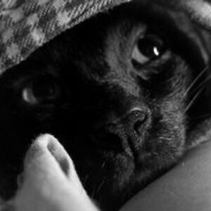 le_emmanuelle1212 avatar