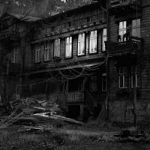 bekkistevenson avatar