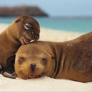 nancyparker_2 avatar