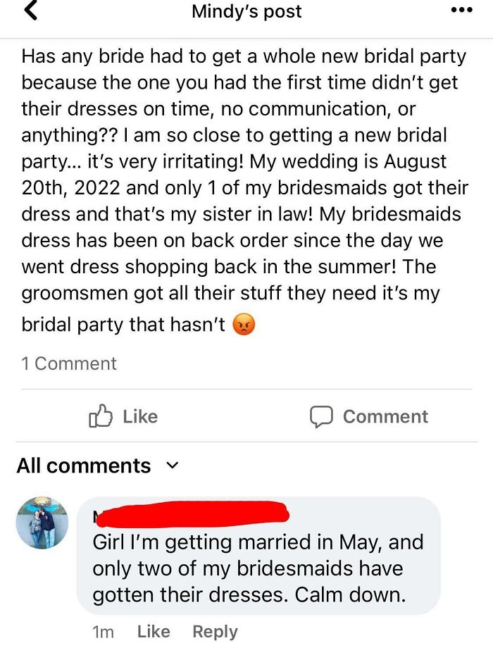 So This Bride Thinks That The Solution To Bridesmaid Dresses Not Arriving Is To... Get New Bridesmaids? 
