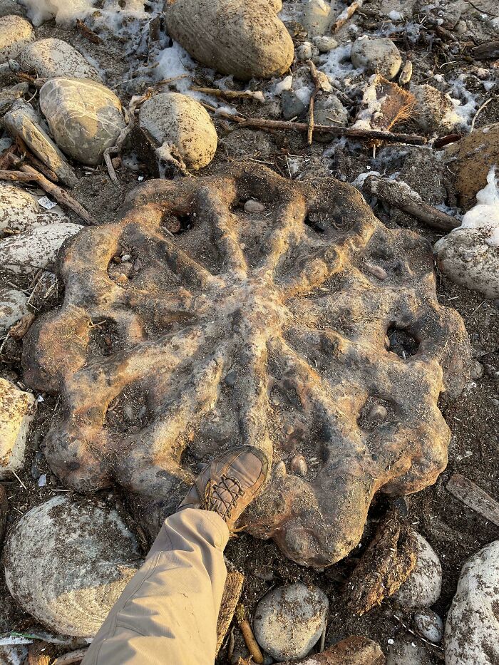 Corroded Metal “Wheel” About 34” Across Found At The Beach
