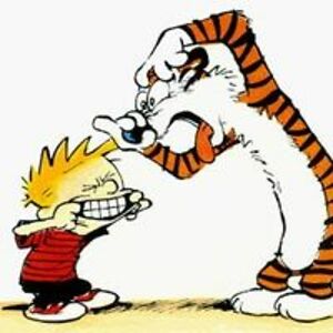 michaelknudsen2 avatar